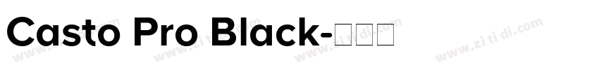 Casto Pro Black字体转换